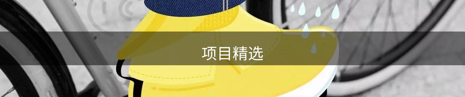 项目精选